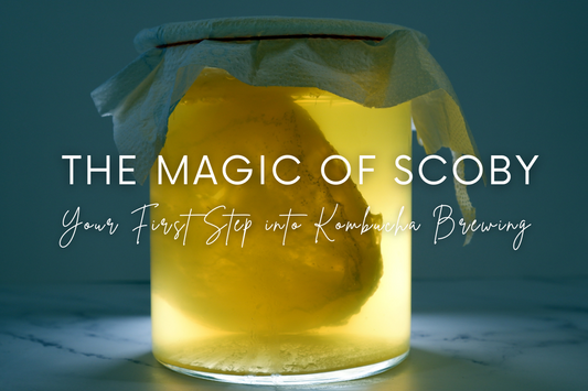 The Magic of SCOBY